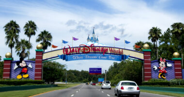 Another Guest Dies At Disney World, Marking Fifth Reported Death In About A Month (VIDEO)