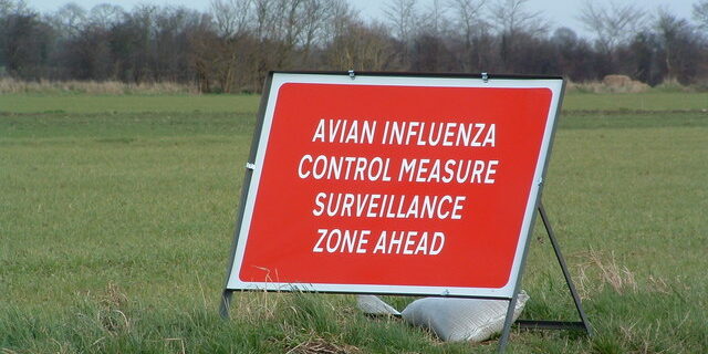First Human Case of Rare Bird Flu Strain Hospitalizes Washington State Resident.