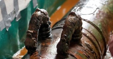 A cannon has been recovered from the wreck of the San Jose galleon which sank in 1708