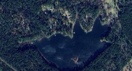 Polk County emergency officials in Texas said the Carter Lake Dam in Camden (pictured) was compromised and urged residents to evacuate immediately, fearing they could be hit by flooding