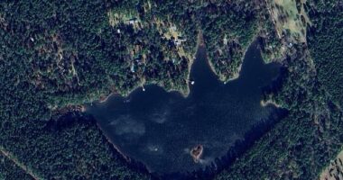 Polk County emergency officials in Texas said the Carter Lake Dam in Camden (pictured) was compromised and urged residents to evacuate immediately, fearing they could be hit by flooding