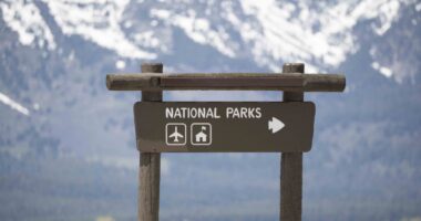 Foreign Tourists Will Now Pay More than Americans to Visit National Parks.