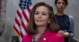 Forget the Snyderverse — Diane Lane Finally Got the DC Storyline She Deserved in This 77% RT Series