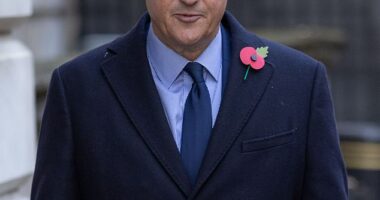 Lord David Cameron has revealed he was diagnosed with prostate cancer after going for a health check-up with his GP