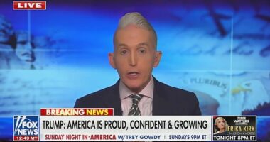 Former U.S. Congressman from South Carolina and current Fox News host Trey Gowdy describes Nancy Mace's 'psychotic episode' at the Charleston Airport last week