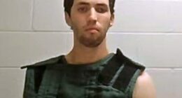 Tyler James Robinson, who killed Right-wing activist Charlie Kirk in September, is believed to have been involved in the furry community