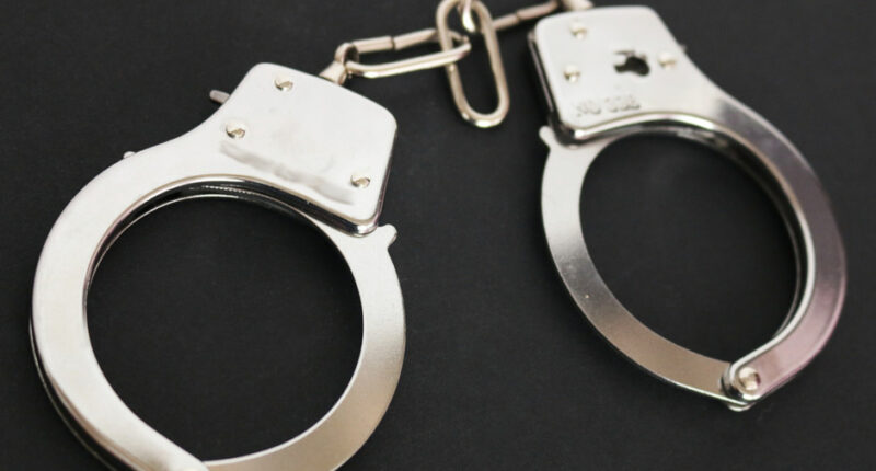 GRAPHIC: Dad Says He Gave Sex Toys to Biological Child & Stepchild After They Became ‘Sexually Curious’