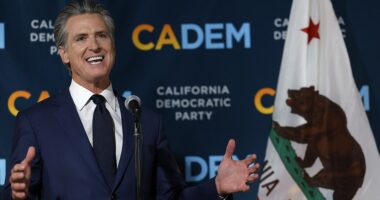 California 's Democratic Governor Gavin Newsom secured a victory this election night - and his name wasn't on the ballot. The Newsom-backed Proposition 50 - which could give Democrats an extra five congressional seats in the Golden State in midterms and in 2028 - passed easily, with the race called seconds after polls closed. Newsom came up with Proposition 50, the 'Election Rigging Response Act,' after the Texas GOP approved a plan to redistrict the Lone Star State to give Republicans a leg up in retaining the House of Representatives in 2026.