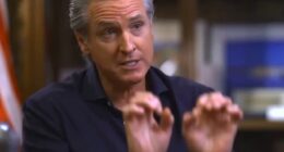Gavin Newsom raised eyebrow with his overly expressive hand gestures during an interview with ABC