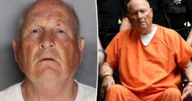 'Golden State Killer' may have only been caught because of his micropenis
