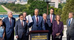 Goodbye 'Schumer Shutdown,' Replaced by Democrats' Meltdown – RedState