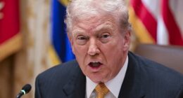 A Trump appointed federal prosecutor is set to go after Democrats who have worked against Donald Trump , including potentially former President Barack Obama