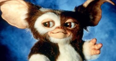 Gremlins 3 Release Date Confirmed