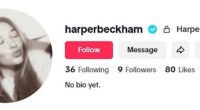 Harper Beckham has officially joined TikTok under a private account two months after she joined Instagram