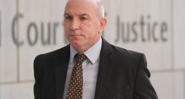 DJ Carey, the 'Maradona of hurling', was sentenced to five-and-a-half years in jail this week for multiple counts of fraud