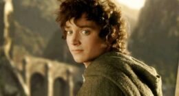 Hear Me Out, Frodo Should Have Died In The Lord Of The Rings