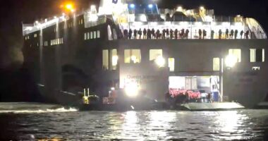 Helmsman ‘was looking at his phone’ when ferry carrying 100s of people ran aground