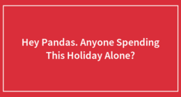 Hey Pandas, Any Of You Spending This Holiday Alone?