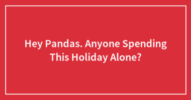 Hey Pandas, Any Of You Spending This Holiday Alone?