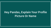 Hey Pandas, Explain Your Profile Picture Or Name (Closed)