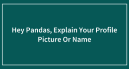 Hey Pandas, Explain Your Profile Picture Or Name (Closed)