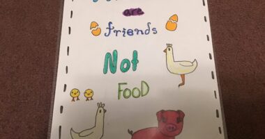 Hey Pandas, Help Me Raise Awareness For Animal Rights And Post A Drawing (Closed)