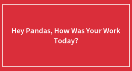 Hey Pandas, How Was Your Work Today? (Closed)