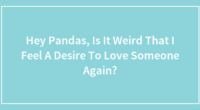 Hey Pandas, Is It Weird That I Feel A Desire To Love Someone Again?