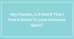 Hey Pandas, Is It Weird That I Feel A Desire To Love Someone Again?