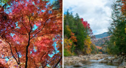 Hey Pandas, Post A Fall Photo You Took (Closed)