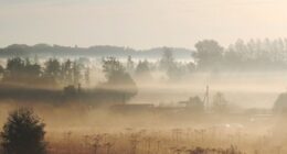 Hey Pandas, Post A Picture Of A Landscape That Was Taken By You (Closed)