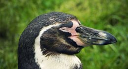 Hey Pandas, Post Some Of Your Photography (Closed)