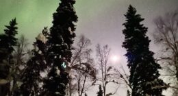 Hey Pandas, Post The Best Photographs You Took In February