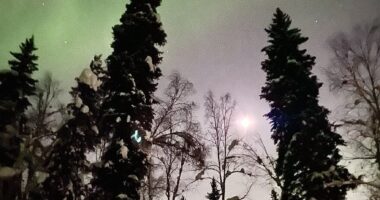 Hey Pandas, Post The Best Photographs You Took In February