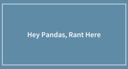 Hey Pandas, Rant Here (Closed)