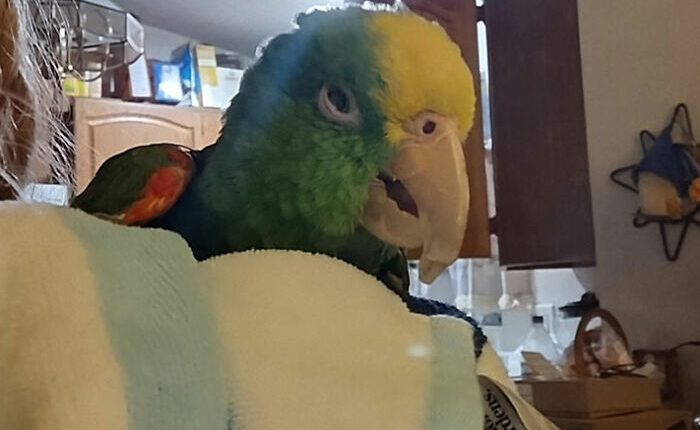 Hey Pandas, Show Us A Picture Of Your Oldest Kritter Kid(S)