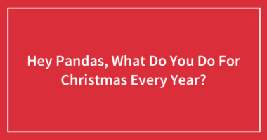 Hey Pandas, What Do You Do For Christmas Every Year? (Closed)