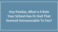 Hey Pandas, What Is A Rule Your School Has Or Had That Seemed Unreasonable To You?