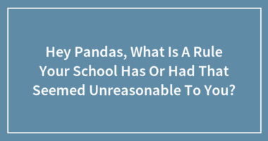 Hey Pandas, What Is A Rule Your School Has Or Had That Seemed Unreasonable To You?