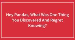 Hey Pandas, What Was One Thing You Discovered And Regret Knowing? (Closed)