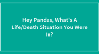 Hey Pandas, What’s A Life/Death Situation You Were In? (Closed)