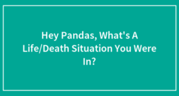 Hey Pandas, What’s A Life/Death Situation You Were In? (Closed)