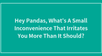 Hey Pandas, What’s A Small Inconvenience That Irritates You More Than It Should?