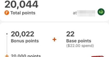 An Aussie mum recently earned 20,000 Everyday Rewards points while spending only $22 on a recent shop at Woolworths - sharing a screenshot of her account as proof