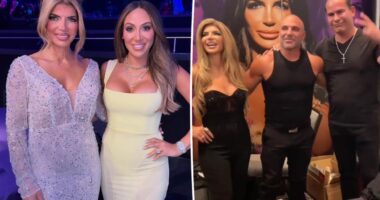 How Melissa Gorga feels about Joe and Teresa Giudice ending feud