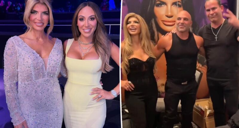 How Melissa Gorga feels about Joe and Teresa Giudice ending feud