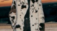 Stand out from the crowd with this striking £85 Cream Cow Print Faux Fur Coat from Next
