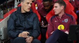 Anthony Barry (right) and Thomas Tuchel are hoping to mastermind a World Cup triumph