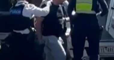 Joseph Cassar is arrested after stabbing a Port Melbourne shopkeeper