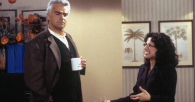 How the Iconic Sitcom Survived